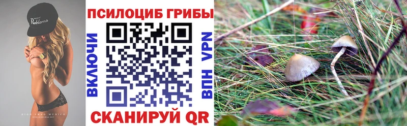 MEGA ссылки  Онега  Галлюциногенные грибы MAGIC MUSHROOMS 